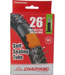 CYT-SELLANTE-26X1952125-V-SCHRADER-2